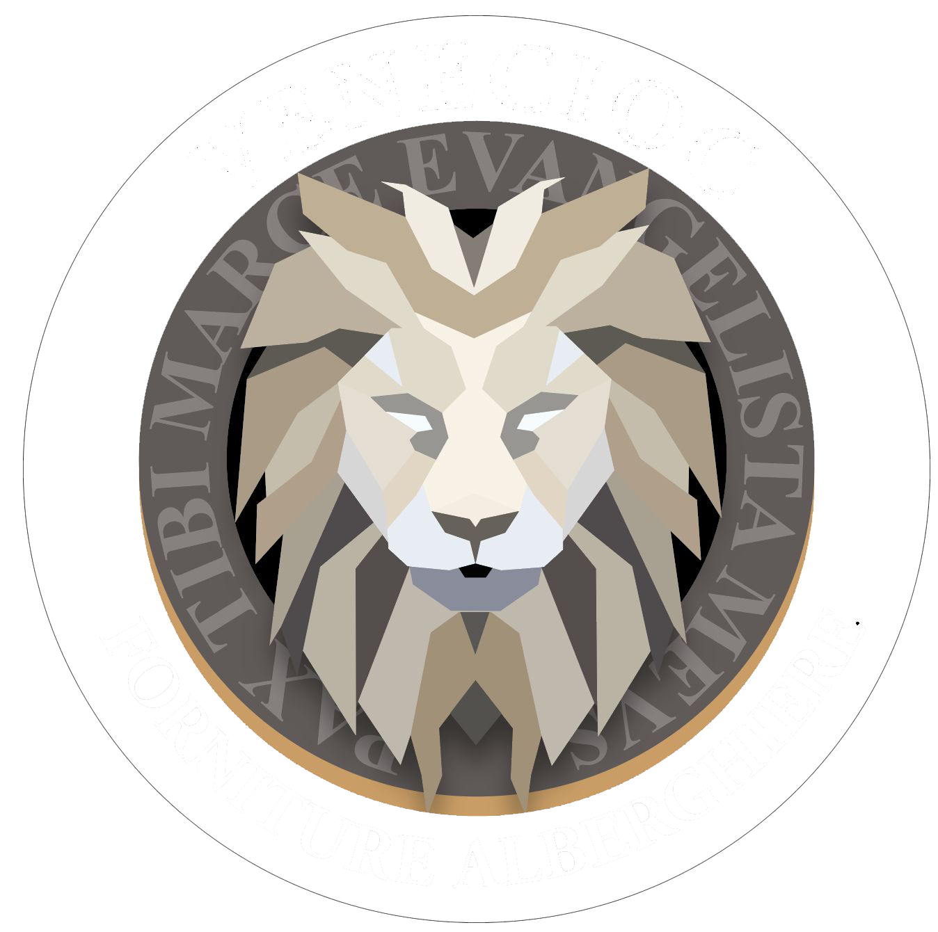 Venecioc Logo